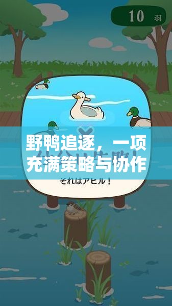 野鴨追逐，策略與協(xié)作的體育游戲反思  第3張