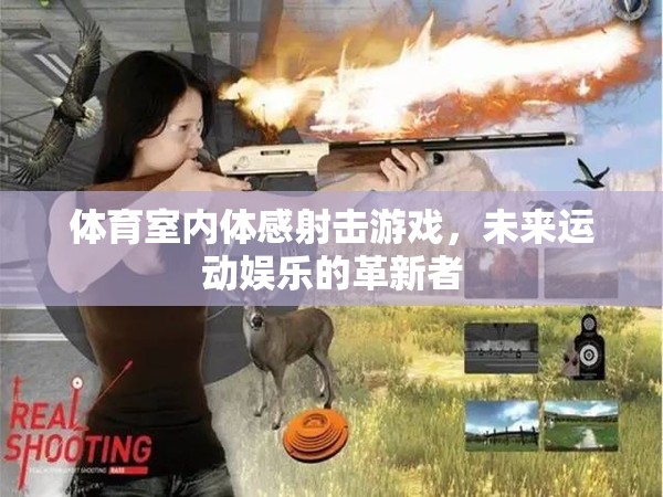 未來(lái)運(yùn)動(dòng)娛樂(lè)的革新者，體育室內(nèi)體感射擊游戲