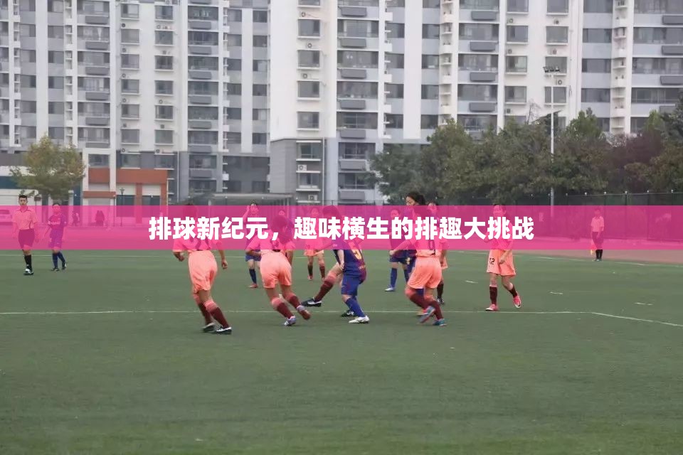 排趣大挑戰(zhàn)，開啟排球新紀元，趣味橫生