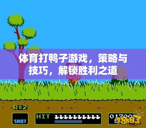 解鎖勝利之道，體育打鴨子游戲的策略與技巧
