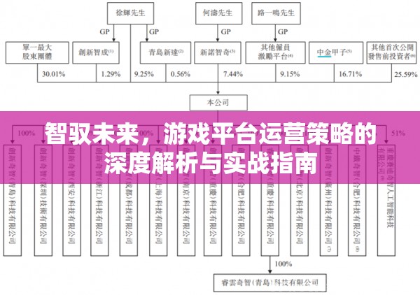 智馭未來(lái)，游戲平臺(tái)運(yùn)營(yíng)策略的深度解析與實(shí)戰(zhàn)指南