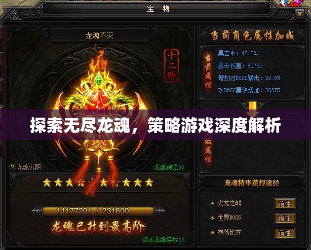探索無(wú)盡龍魂，深度解析策略游戲