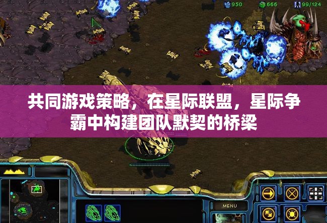 星際爭霸，共同游戲策略——構(gòu)建團隊默契的橋梁  第1張