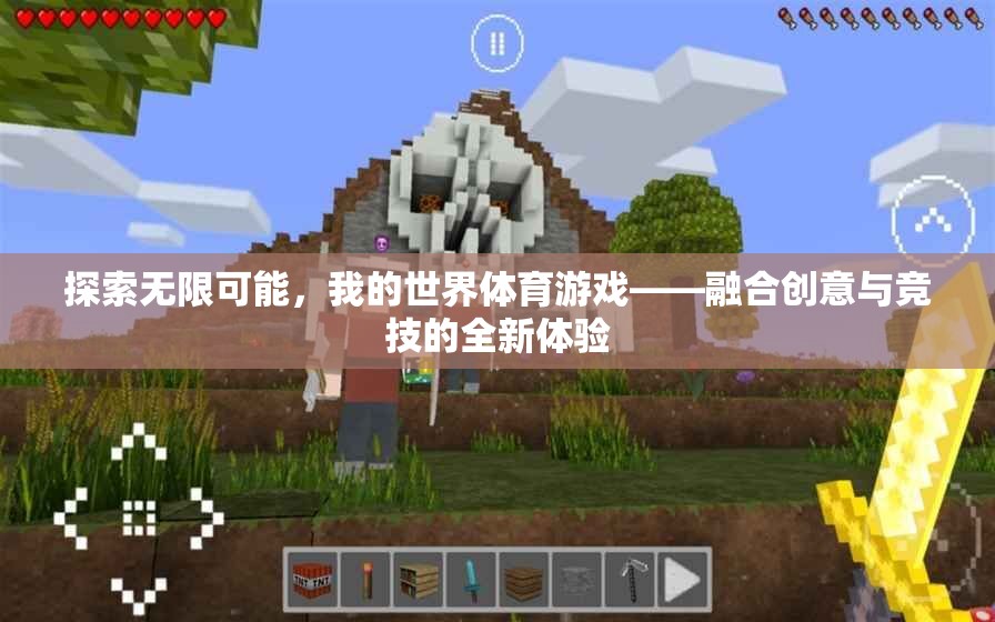 探索無限可能，我的世界體育游戲——?jiǎng)?chuàng)意與競(jìng)技的全新融合體驗(yàn)