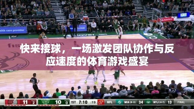 接球挑戰(zhàn)，一場激發(fā)團(tuán)隊(duì)協(xié)作與反應(yīng)速度的體育游戲盛宴