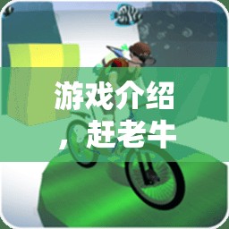 趕老牛，傳統(tǒng)與現(xiàn)代交融的體育新體驗