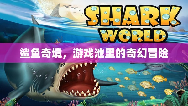 鯊魚(yú)奇境，游戲池中的奇幻冒險(xiǎn)之旅
