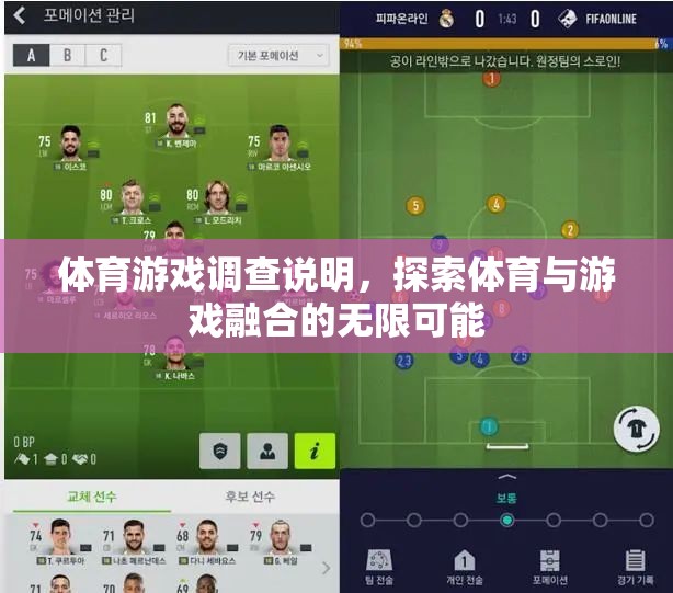 探索體育與游戲融合的無(wú)限可能，一項(xiàng)體育游戲調(diào)查的啟示
