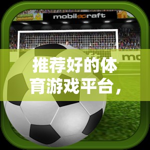解鎖虛擬賽場，探索頂級體育游戲平臺的無限可能