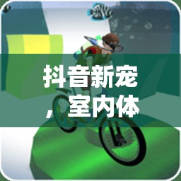 抖音新寵，室內(nèi)體育游戲的魅力大揭秘