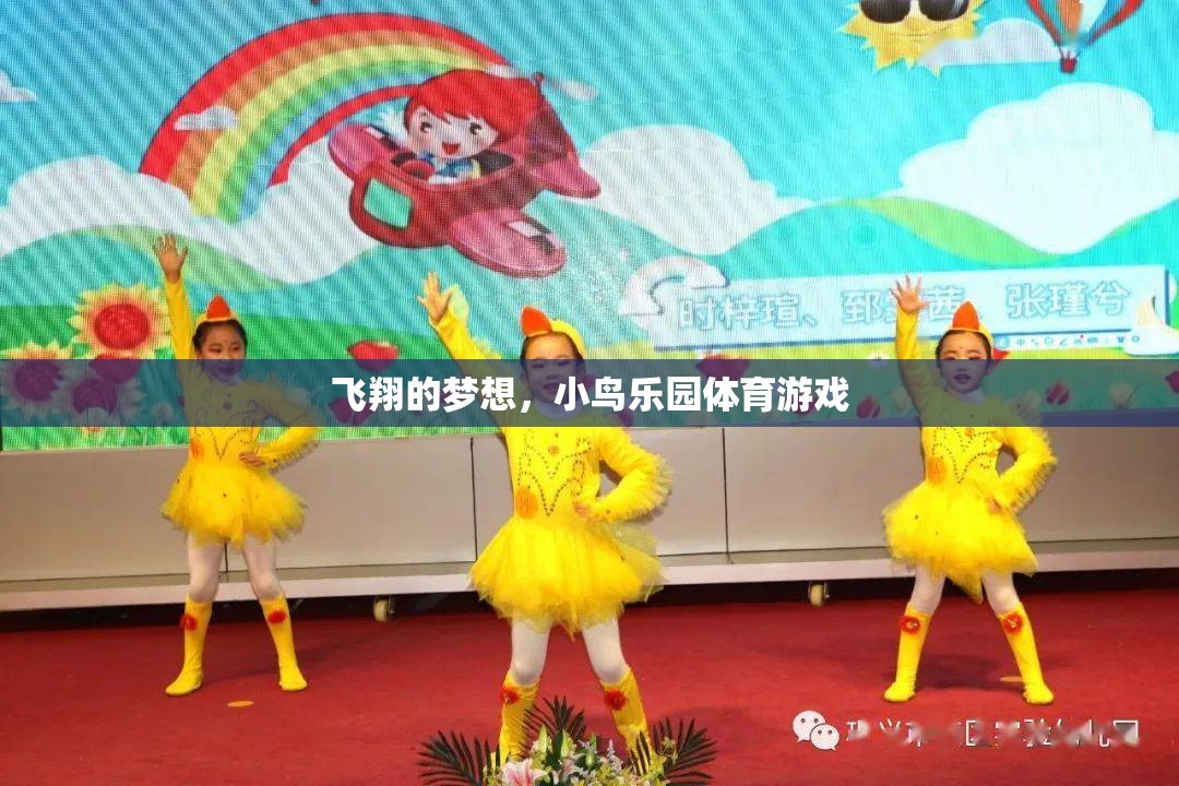 小鳥樂園，激發(fā)孩子飛翔夢想的體育游戲