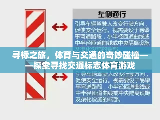 尋標之旅，體育與交通的奇妙碰撞  第2張