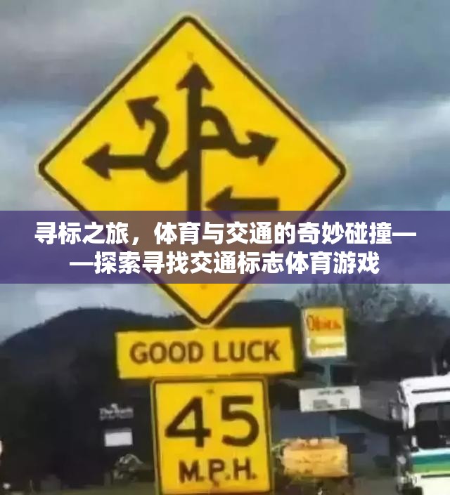 尋標之旅，體育與交通的奇妙碰撞  第3張