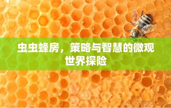 蟲蟲蜂房，微觀世界的策略與智慧探險(xiǎn)