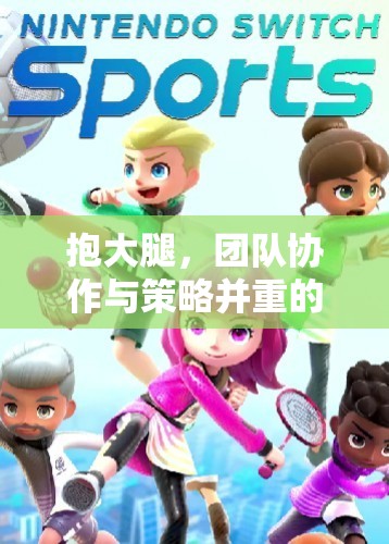 抱團(tuán)前行，體育游戲中的團(tuán)隊(duì)協(xié)作與策略新體驗(yàn)
