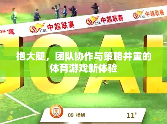 抱團(tuán)前行，體育游戲中的團(tuán)隊(duì)協(xié)作與策略新體驗(yàn)