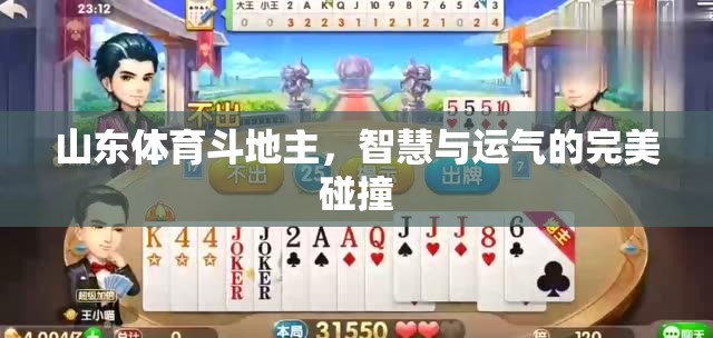 山東體育斗地主，智慧與運(yùn)氣的激情碰撞  第1張