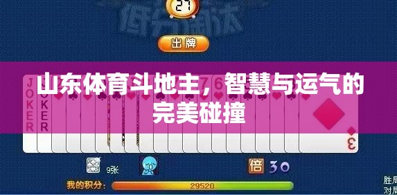 山東體育斗地主，智慧與運(yùn)氣的激情碰撞  第2張