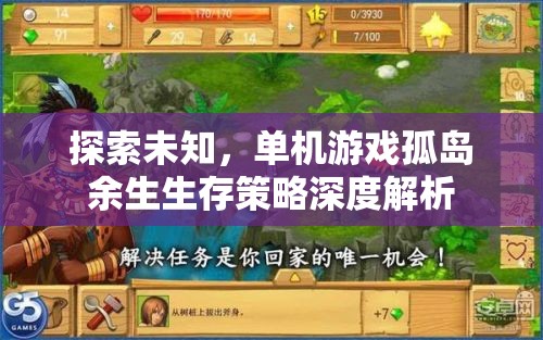 孤島余生，探索未知的生存策略