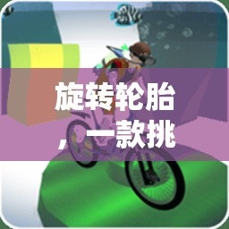 挑戰(zhàn)極限，旋轉(zhuǎn)輪胎體育游戲教案