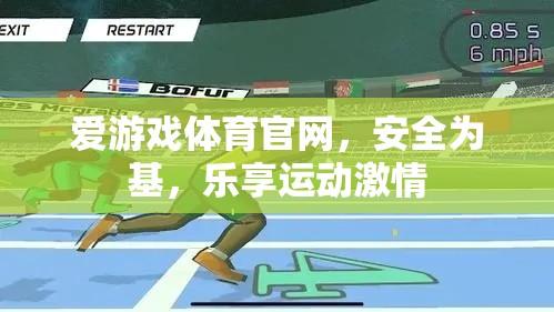 愛游戲體育官網(wǎng)，安全基石，樂享運(yùn)動激情的殿堂