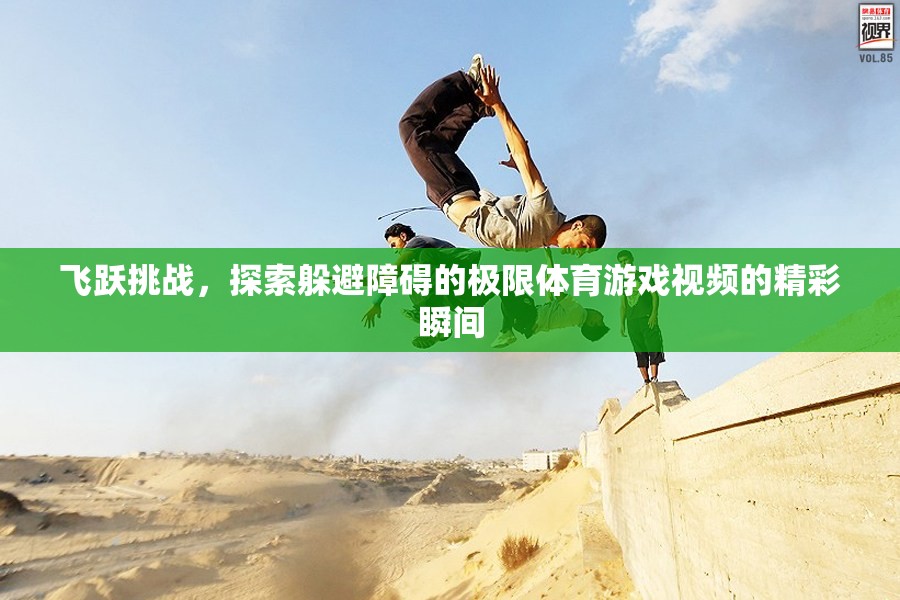 飛躍挑戰(zhàn)，探索極限體育游戲中的精彩躲避瞬間