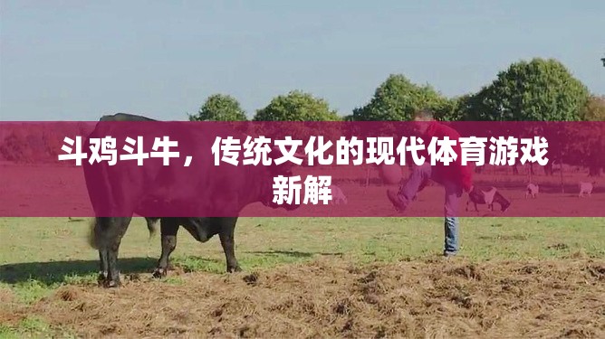 傳統(tǒng)文化的現(xiàn)代演繹，斗雞斗牛的體育新解