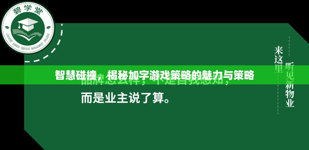 智慧碰撞，揭秘加字游戲策略的魅力與策略