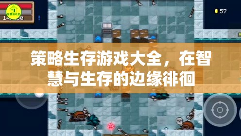 智慧與生存的邊緣，策略生存游戲大全