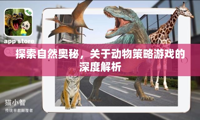 探索自然奧秘，深度解析動物策略游戲的策略與智慧