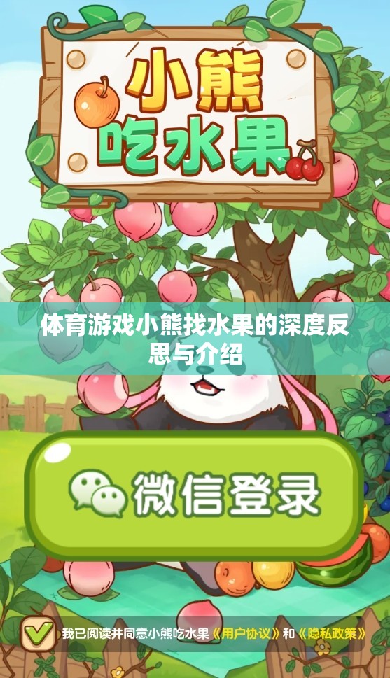 體育游戲小熊找水果的深度反思與介紹