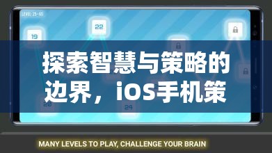 探索智慧與策略的邊界，iOS手機(jī)策略單機(jī)游戲深度解析