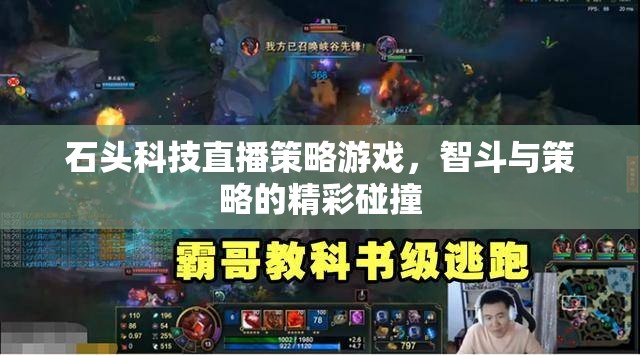 石頭科技直播，智斗與策略的精彩碰撞