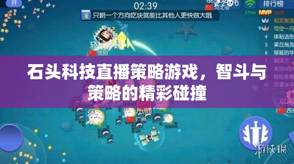 石頭科技直播，智斗與策略的精彩碰撞