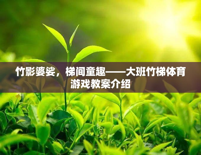 竹影童趣，大班竹梯體育游戲創(chuàng)意教案  第2張