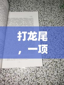 傳統(tǒng)與現(xiàn)代交融，探索‘打龍尾’體育游戲的魅力