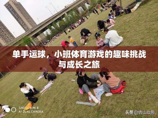 單手運(yùn)球，小班體育游戲中的趣味挑戰(zhàn)與成長之旅