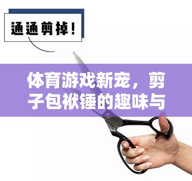 剪子包袱錘，體育游戲新寵的趣味與挑戰(zhàn)