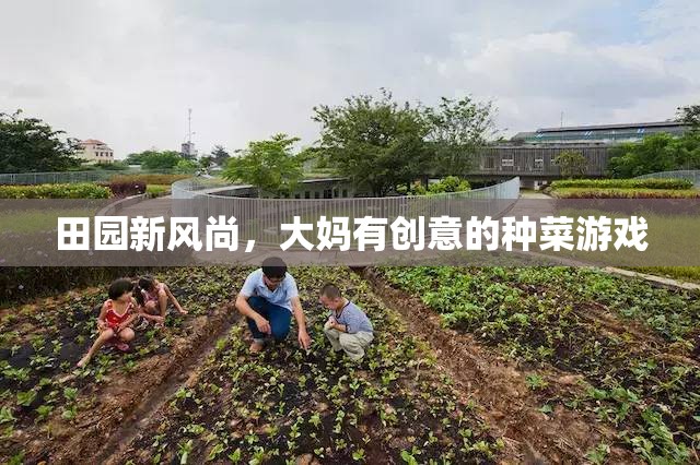 田園新風(fēng)尚，大媽有創(chuàng)意的種菜游戲