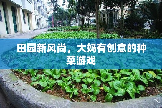 田園新風(fēng)尚，大媽有創(chuàng)意的種菜游戲