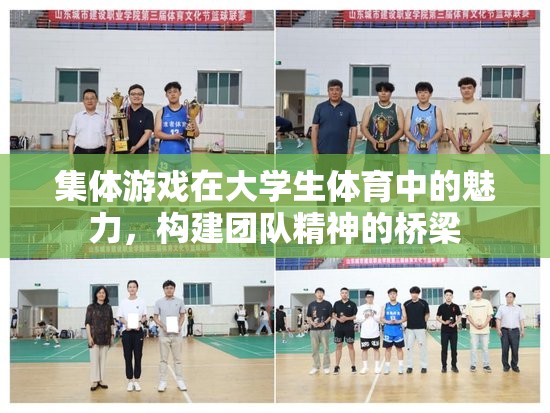集體游戲，大學生體育中的團隊精神構(gòu)建橋梁