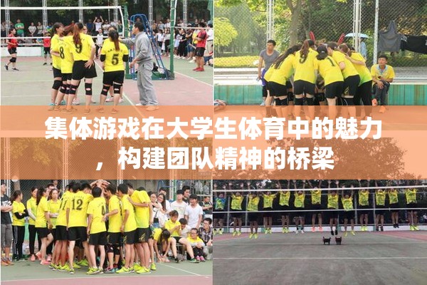 集體游戲，大學生體育中的團隊精神構(gòu)建橋梁