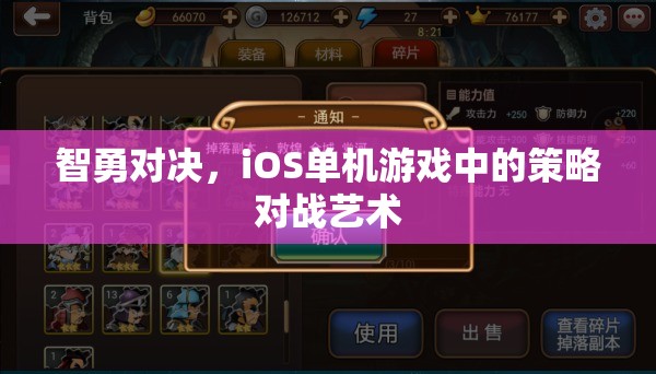 智勇對(duì)決，iOS單機(jī)游戲中的策略對(duì)戰(zhàn)藝術(shù)