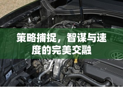 智謀與速度的完美交融，策略捕捉的藝術(shù)