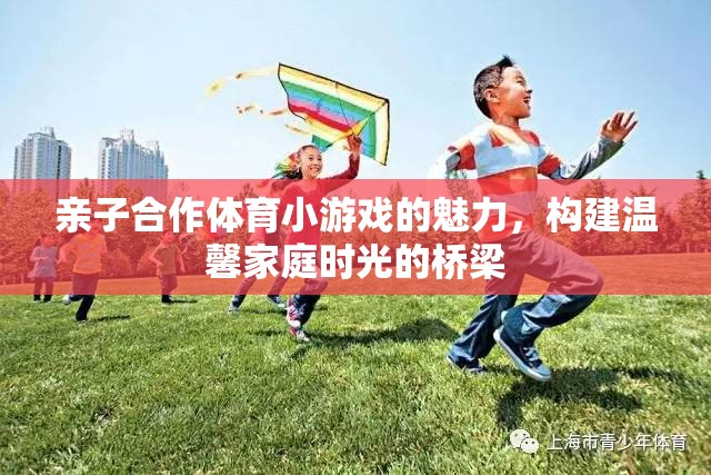 親子合作體育小游戲的魅力，構(gòu)建溫馨家庭時光的橋梁