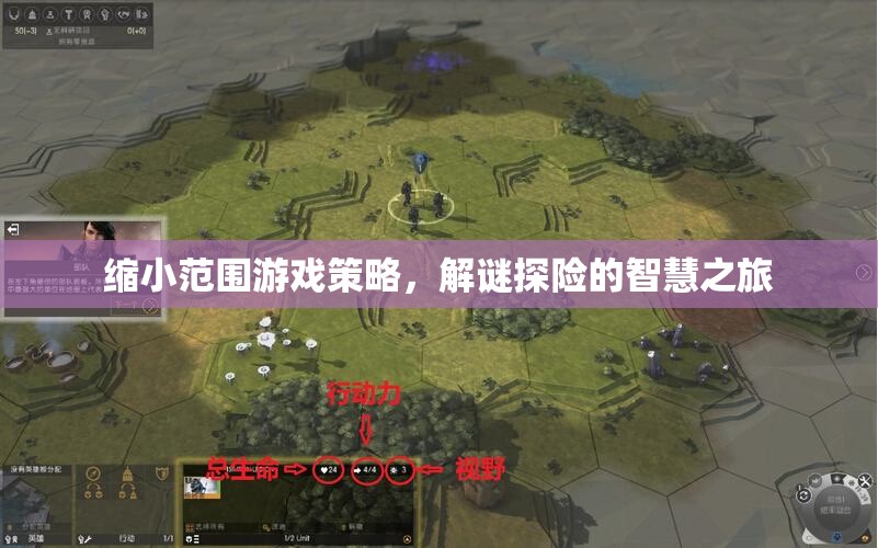 縮小范圍游戲策略，解謎探險的智慧之旅