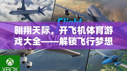 解鎖飛行夢想，翱翔天際的飛機(jī)體育游戲大全