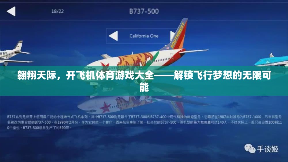 解鎖飛行夢想，翱翔天際的飛機(jī)體育游戲大全