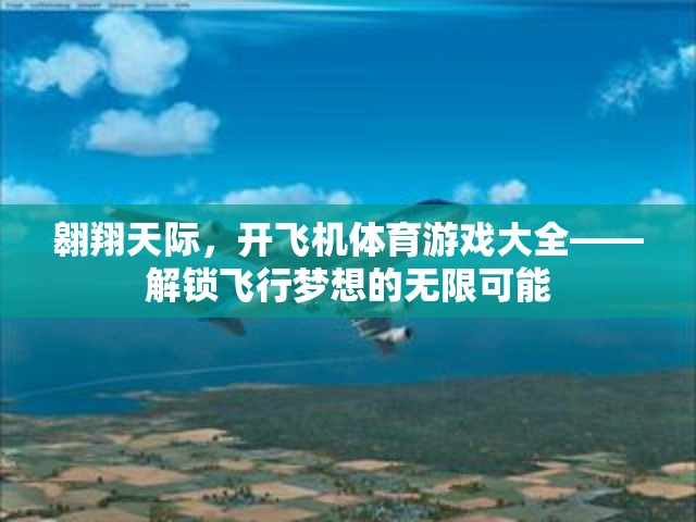 解鎖飛行夢想，翱翔天際的飛機(jī)體育游戲大全