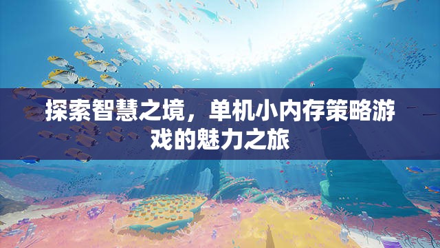 探索智慧之境，小內(nèi)存策略游戲的魅力之旅